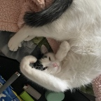 Unloveabledemonprincess